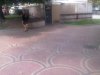 20110805023.jpg