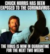 c03_chucknorris.jpeg