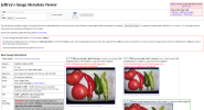 Screenshot_2021-10-13 Jeffrey Friedl's Image Metadata Viewer(1).png