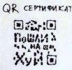 QR.jpg