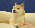 Dogecoin.png