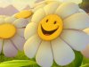 smiley-face-wallpaper-014.jpg